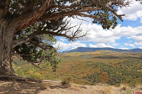 Photo of TBD Buckhorn Road, Montrose, CO 81403 (MLS # 831248)
