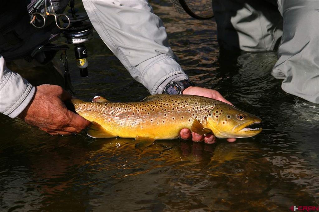 Lot 28 Wilder Mountain Road