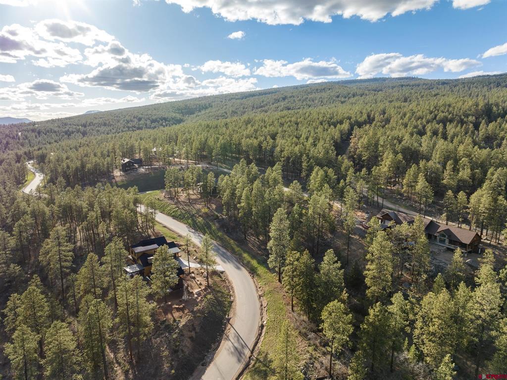 102 Red Canyon Court