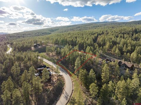 102 Red Canyon Court Durango CO 81301