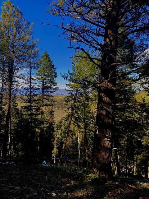 152 Crest Drive Cimarron CO 81220