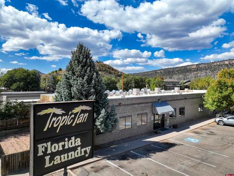 1449 Florida Road Durango CO 81301
