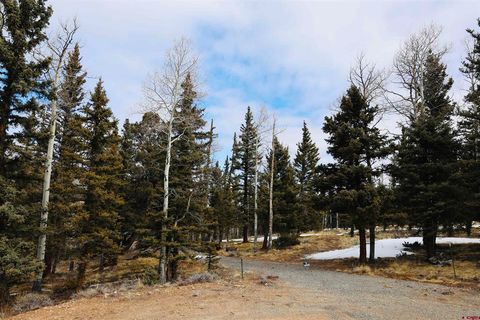 TBD Cochetopa Trail Powderhorn CO 81243