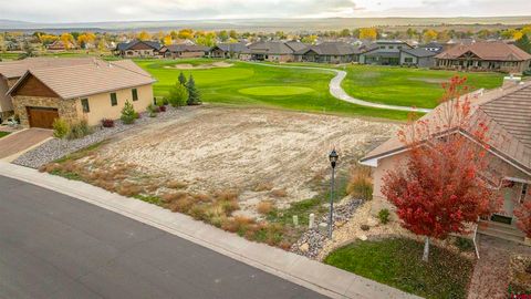 Lot 2403 Fellows Drive Montrose CO 81401