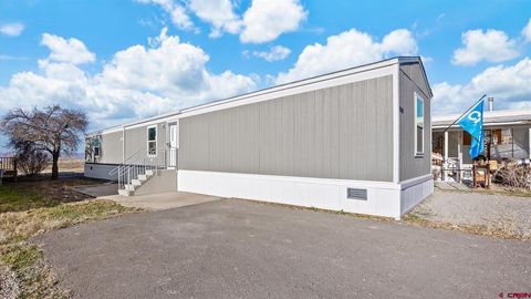 9969 Kremmling Road Austin CO 81410