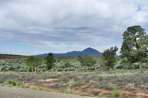 Lot 6 Road 24.3 Cortez CO 81321