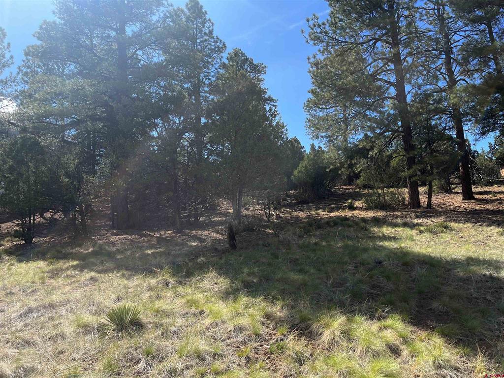 TBD White Tail Lane