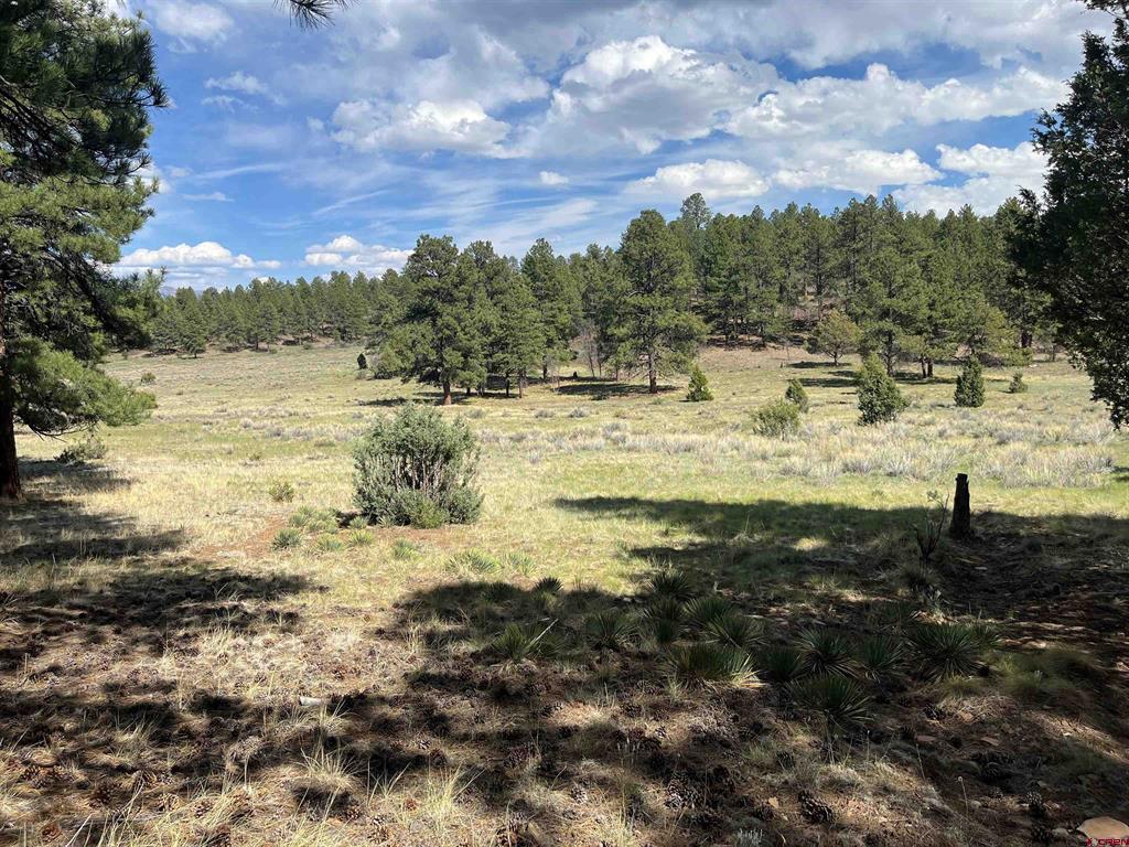 TBD White Tail Lane