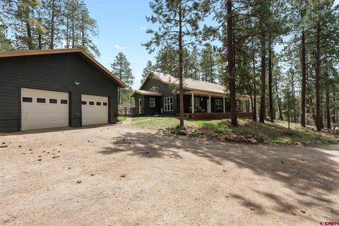 216 Lake View Drive Bayfield CO 81122