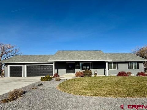 Photo of 2002 Otter Pond Circle, Montrose, CO 81401 (MLS # 832358)