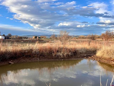 478 Hwy 172 Durango CO 81303