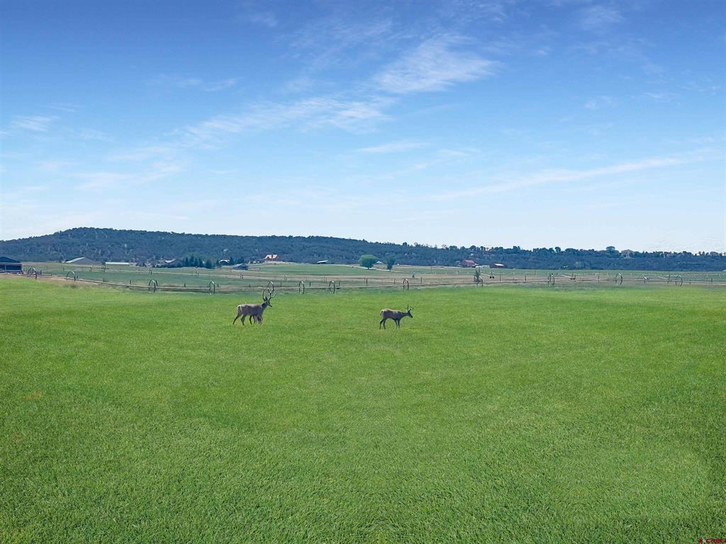 38832 Fruitland Mesa Road