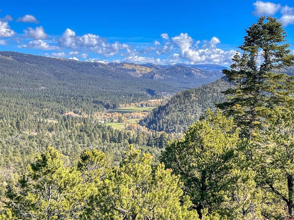 1050 Turkey Trot Lane