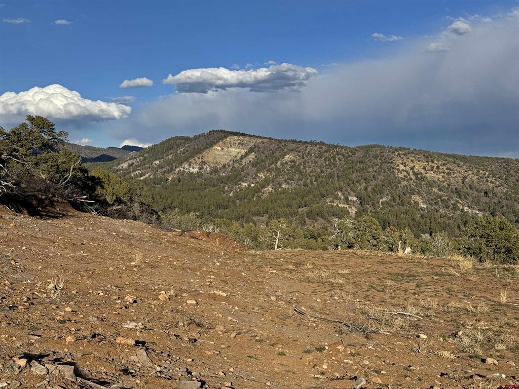 1050 Turkey Trot Lane