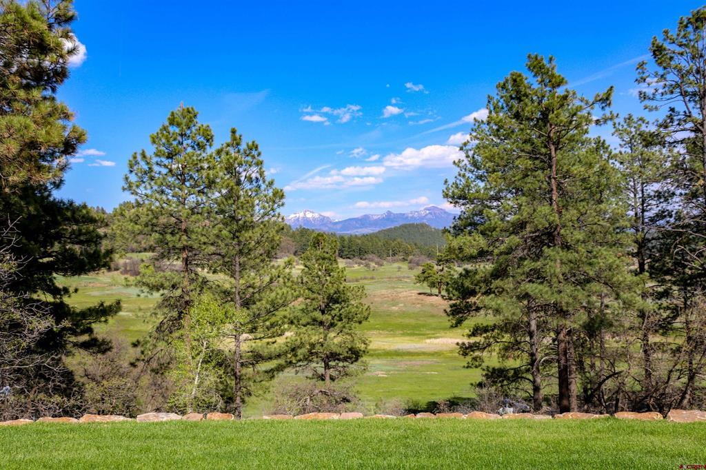 2554 County Rd 400