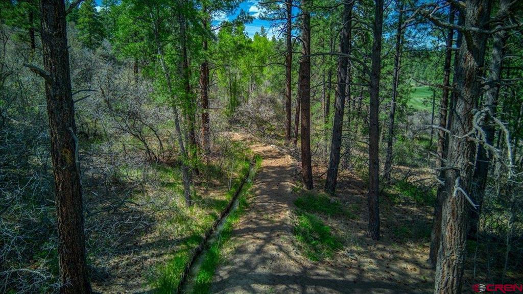 2554 County Rd 400