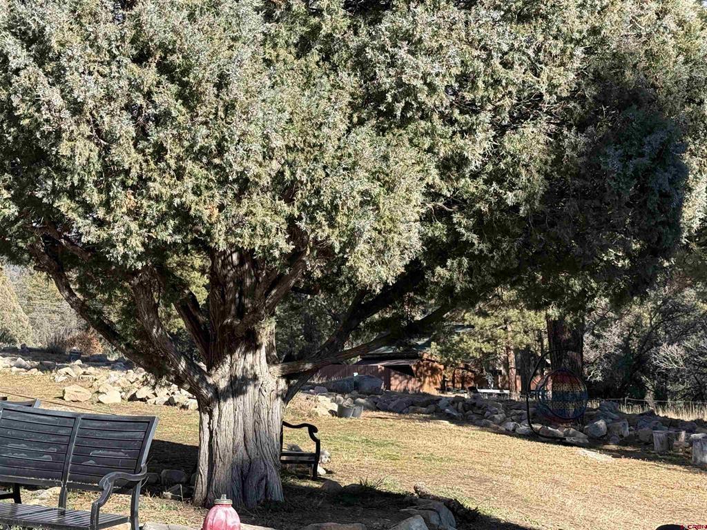 34237 N Highway 550 #27