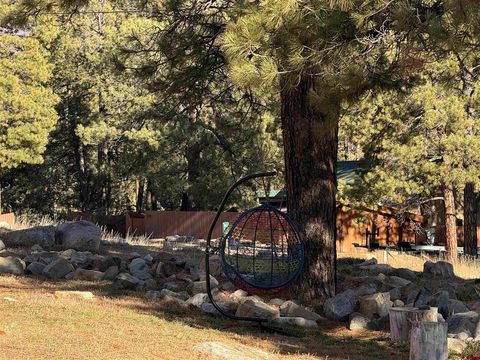 34237 N Highway 550 #27 Durango CO 81301