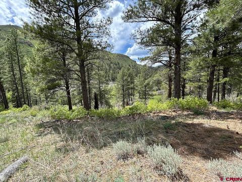59 Arnica Court Durango CO 81301
