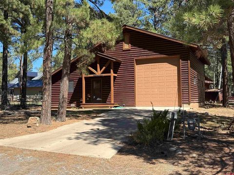 Photo of 41 N Debonaire Court, Pagosa Springs, CO 81147 (MLS # 833520)