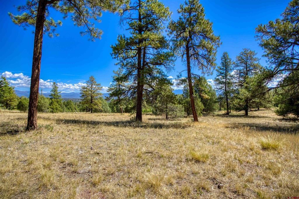 122 Yarrow Circle