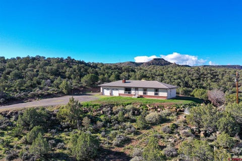Photo of 16901 Shavano Valley Road, Montrose, CO 81403 (MLS # 839992)