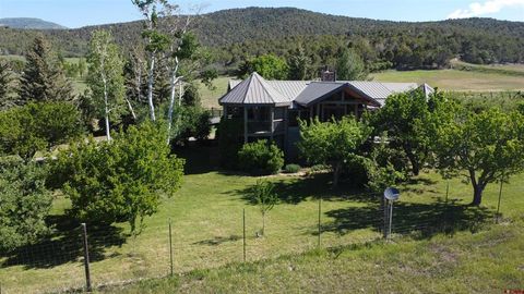 24119 Ute Trail Road Cedaredge CO 81413