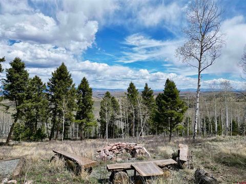 Photo of 6001 County Road 25, Powderhorn, CO 81243 (MLS # 833701)