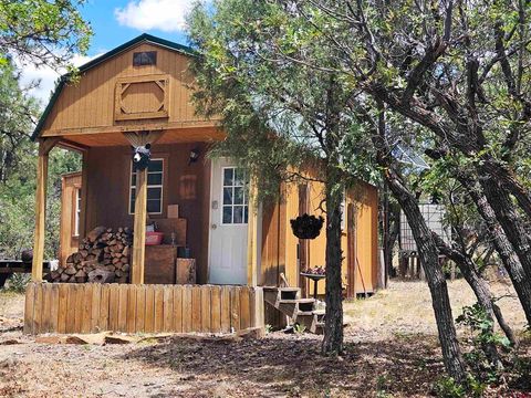 543 Justin's Road Pagosa Springs CO 81147