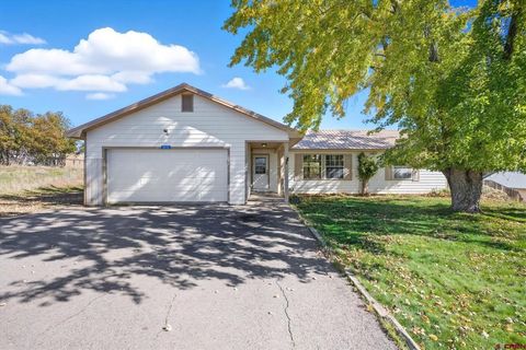 1072 N cedar Drive Bayfield CO 81122