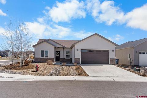 Photo of 1432 Owl Creek Avenue, Montrose, CO 81401 (MLS # 832479)