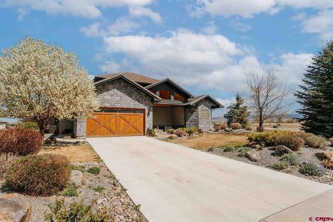 Photo of 2125 Fellows Drive, Montrose, CO 81401 (MLS # 833207)