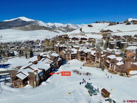 14 Hunter Hill Road C203 Mt. Crested Butte CO 81225
