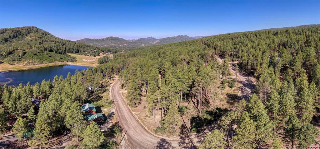 31 E Forest Lakes Drive