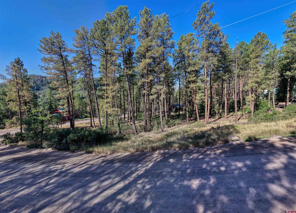 31 E Forest Lakes Drive