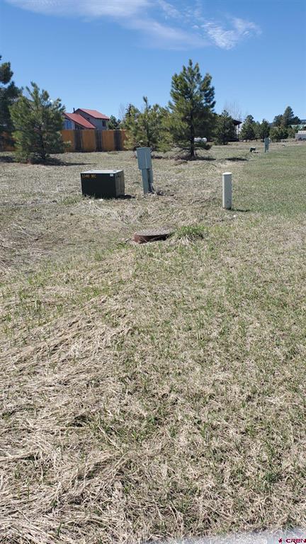 1335 Hills Circle - Photo 3