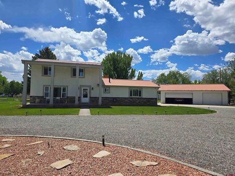 Photo of 63046 Spring Creek Road, Montrose, CO 81403 (MLS # 834811)