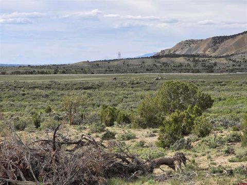 Photo of 1 Buckhorn Road, Montrose, CO 81401 (MLS # 834002)