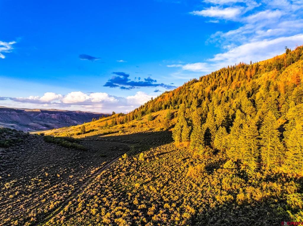 000 US Highway 50