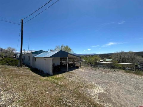 Photo of 324 Fir Avenue, Crawford, CO 81415 (MLS # 834531)