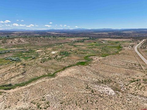 Photo of 30700 Hwy 97, Nucla, CO 81424 (MLS # 835970)
