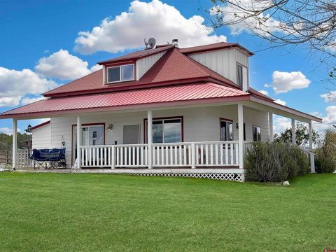 Photo of 36432 Fruitland Mesa Road, Crawford, CO 81415 (MLS # 833910)
