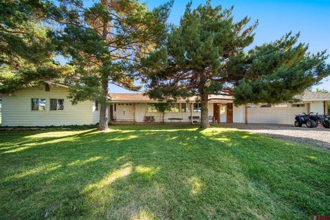 20623 Road N Cortez CO 81321