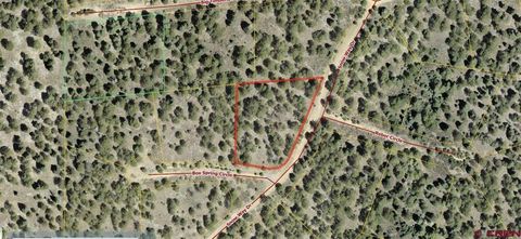 73 Snow Way Dr Bayfield CO 81122