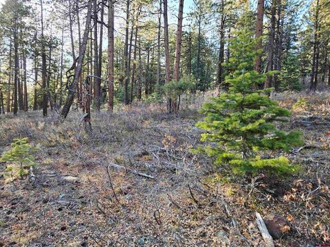 73 Snow Way Dr Bayfield CO 81122