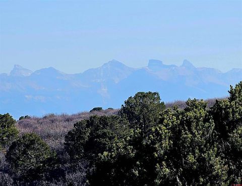 Photo of TBD Bible Camp Road, Montrose, CO 81427 (MLS # 830185)