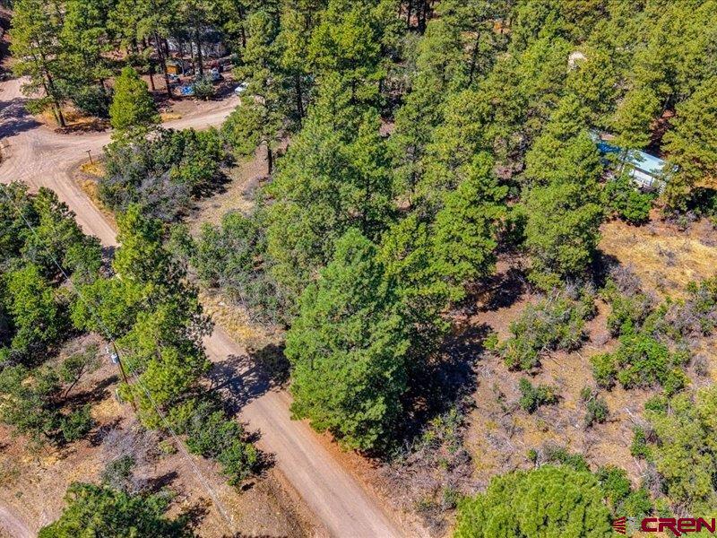876 Evergreen Drive
