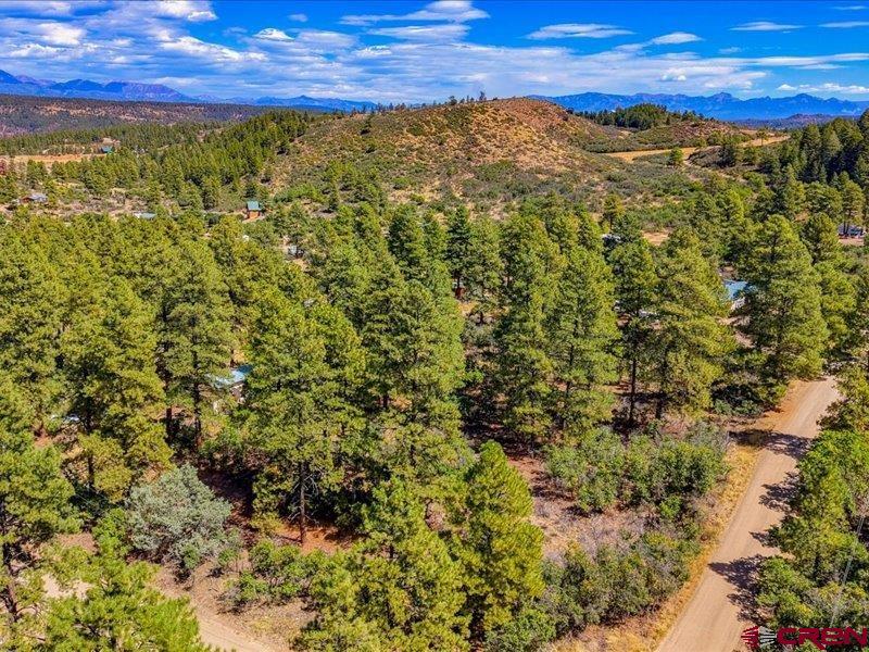 876 Evergreen Drive