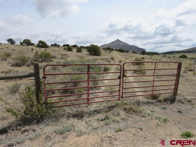Photo 1 of 13 — 274 Antelope Trail, Del Norte, CO 81132