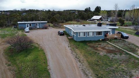 195 Silverview Lane 1-5 Durango CO 81303